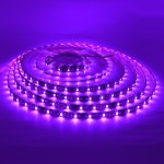 12V SMD2835 Black LED Strip 300LED/5M IP65 Waterproofing