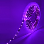 12V SMD2835 Black LED Strip 300LED/5M IP65 Waterproofing